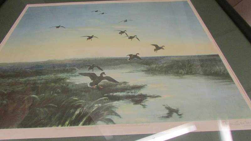 A framed and glazed Peter Scott print from The Fine Art Guild. - Image 2 of 2