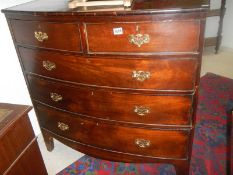 A mahogany veneered bow front chest of drawers, 104 x 51 x 103 cm tall. COLLECT ONLY.