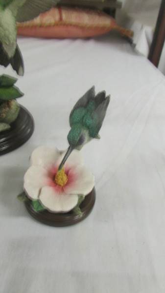 Three Country Artists limited edition 'Silent Wings' humming birds, COLLECT ONLY. - Image 3 of 5