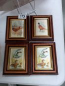 4 framed bird studies on silk