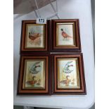 4 framed bird studies on silk