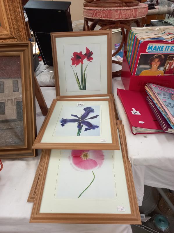 A set of 6 pine framed & glazed prints of flowers