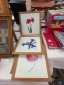 A set of 6 pine framed & glazed prints of flowers