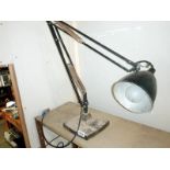 A 30's angle poise lamp with weighted base