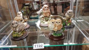 5 country artist owl figures