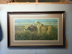 A framed and glazed Lioness print. Simon Combes Jul 84. Collect Only.