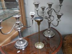 A candelabra and a candlestick.