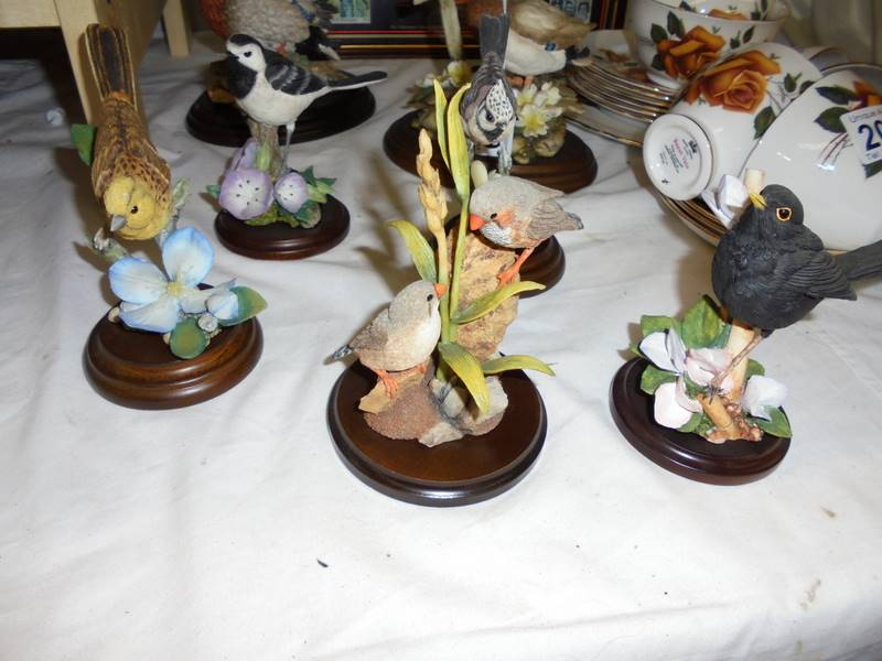 Seven Country artist bird figures. - Image 4 of 4