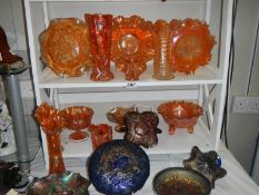 Three shelves of good carnival glass in good condition.