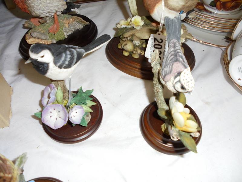 Seven Country artist bird figures. - Image 3 of 4