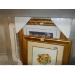 Three framed and glazed prints of Leopards, COLLECT ONLY,.