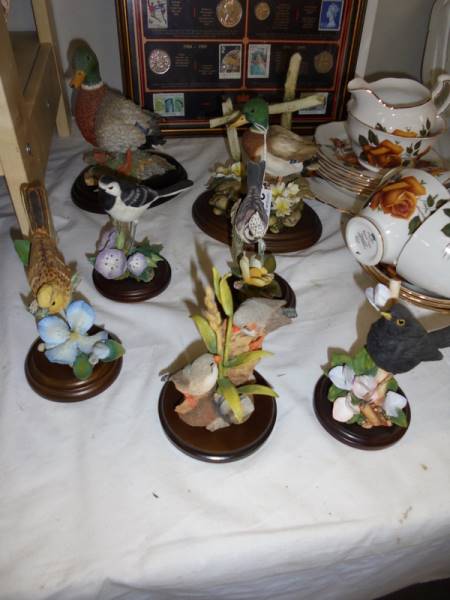 Seven Country artist bird figures.