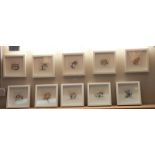 A set of 10 framed & glazed star sign needlework pictures featuring cats
