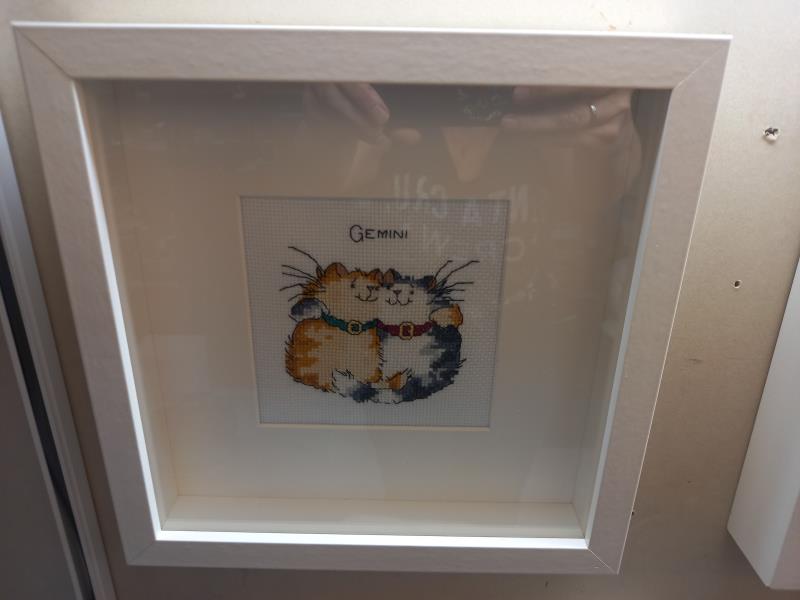 A set of 10 framed & glazed star sign needlework pictures featuring cats - Image 2 of 11