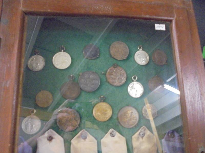 A 1930's onwards display cabinet of Lincolnshire Horticultural and Gardening medals and ribbons. - Image 2 of 3