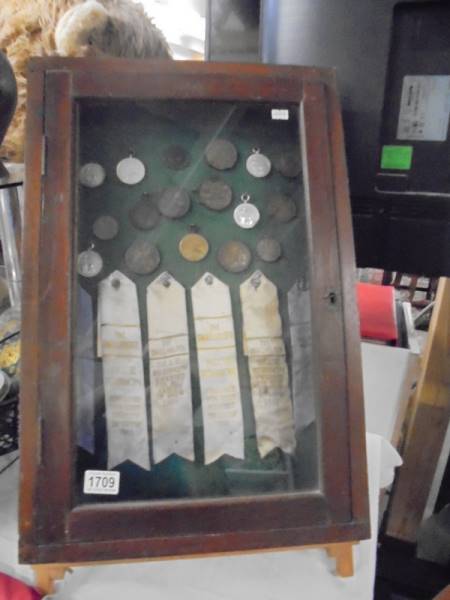 A 1930's onwards display cabinet of Lincolnshire Horticultural and Gardening medals and ribbons.