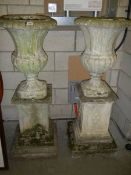 A good pair of garden urns on pedestals, COLLECT ONLY.