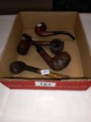 5 vintage pipes in used condition including Falcon and Ascot special. Others not named