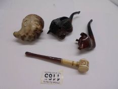 A carved bulls head pipe, a fox head pipe, an a/f African head pipe and one other.