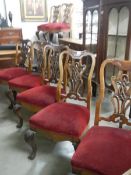 A good set of mahogany dining chairs. COLLECT ONLY.