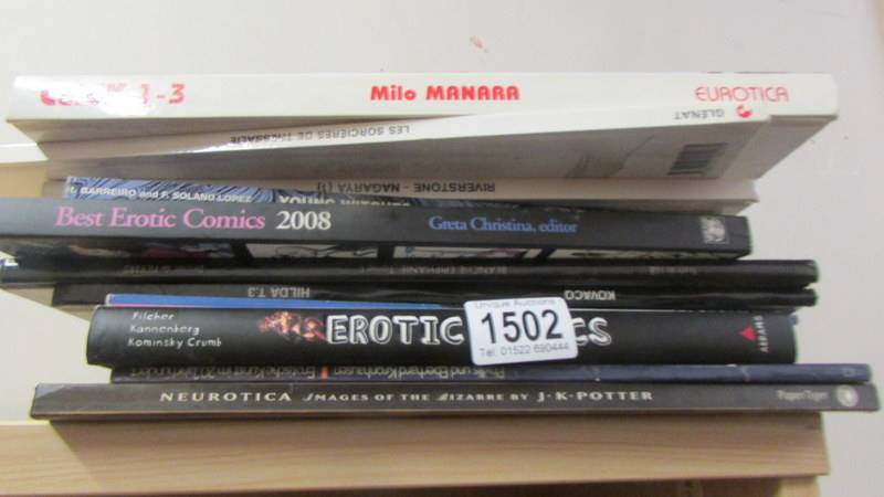 A good collection of UK and European erotic comics & books including Bayba, Naranya etc.,