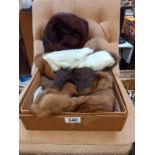 A box of fur stoles etc.