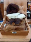 A box of fur stoles etc.