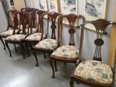 A good set of eight Victorian mahogany dining chairs.