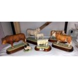 4 cow figures and 2 sheep figures, Border Fine Arts. All cows A/F
