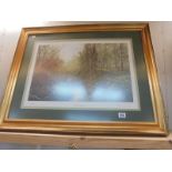 A large gilt framed and glazed print entitled 'Natural Spring', COLLECT ONLY.