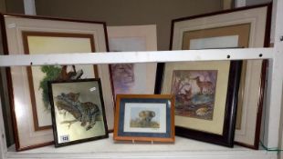 A quantity of framed & glazed anaiml pictures