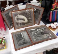 Five framed erotic photographs, one missing glass.