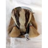 A taxidermy badger head and fur Scottish sporran.