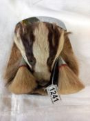 A taxidermy badger head and fur Scottish sporran.