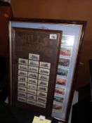 2 framed sets of collectable cards, classic cars and steam trains