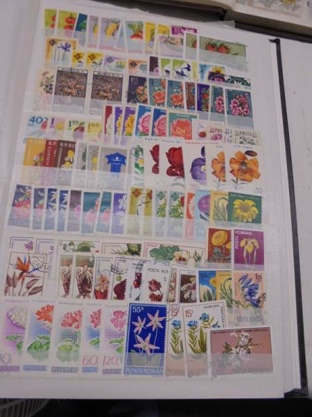 Three albums of Czech Republic, Hungary and Romania stamps. - Image 10 of 13