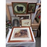 A selection of framed and glazed prints of mainly Spaniels including English Setters.