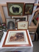 A selection of framed and glazed prints of mainly Spaniels including English Setters.
