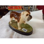 A Beswick Bulldog on plinth, C H Basford, British mascot, 7" high.