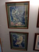 2 large framed and glazed prints of Owls. 58cm x 69cm. Collect Only.