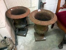 A pair of cast iron garden urns. Height 53cn x Diameter 39cm. Base 31cm x 31cm.