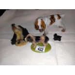 A Wade championship and Bossons and Martina cocker spaniels.