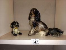 2 Goebel spaniel dogs and 1 other.