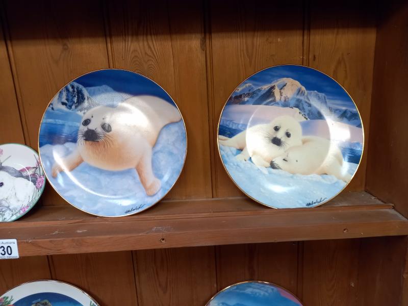 A collection of seal related items including 6 x Franklin mint limited edition porcelain plates, - Image 3 of 7