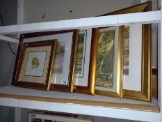 5 limited edition signed Stephen Gayford prints (4 framed & glazed & 1 canvas) including Rain forest