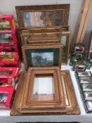 A good selection of Antique style gilt picture frames various sizes.