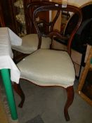 A pair of Victorian mahogany cabriole leg chairs. COLLECT ONLY.