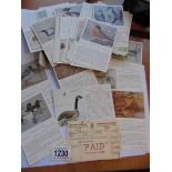 A set of 50 Canadian bird postcards with original receipt dated 1959.