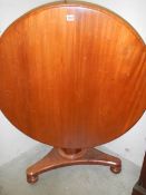 A Victorian circular tip top mahogany table. COLLECT ONLY.