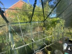 A 10ft x 8ft, aluminium greenhouse. Needs to be dismantled. Collect Only.